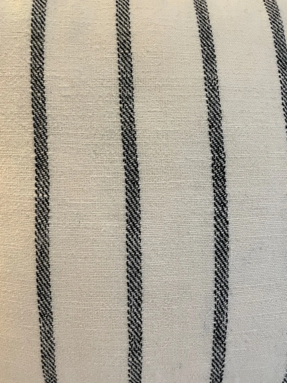 NWOT West Elm Striped Euro Sham with Woven Texture
